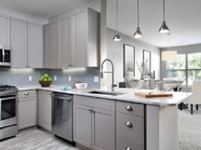 Apartment for rent in Chestnut Hill