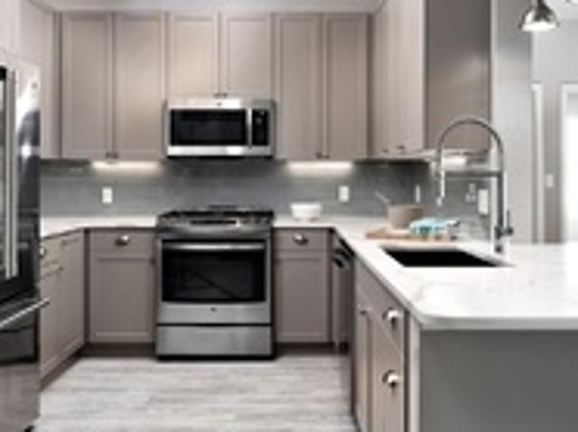 Apartment for rent in Chestnut Hill