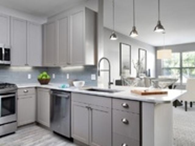 Apartment for rent in Chestnut Hill