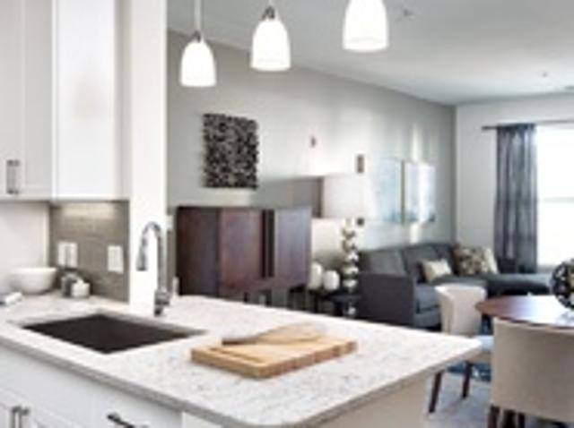 Apartment for rent in Chestnut Hill