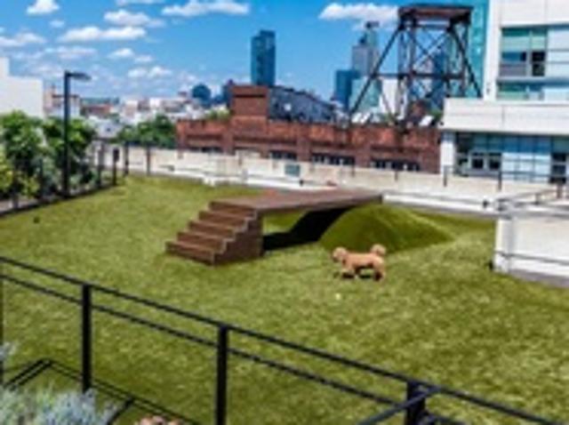 Apartment for rent in Long Island City