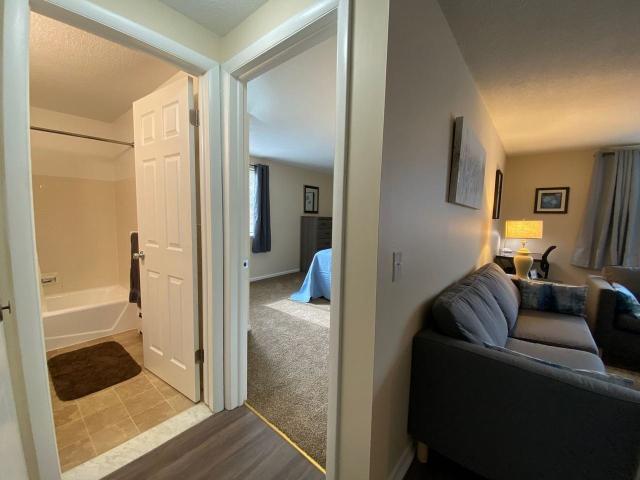 Apartment for rent in Webster