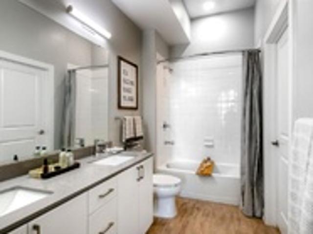 Apartment for rent in Towson
