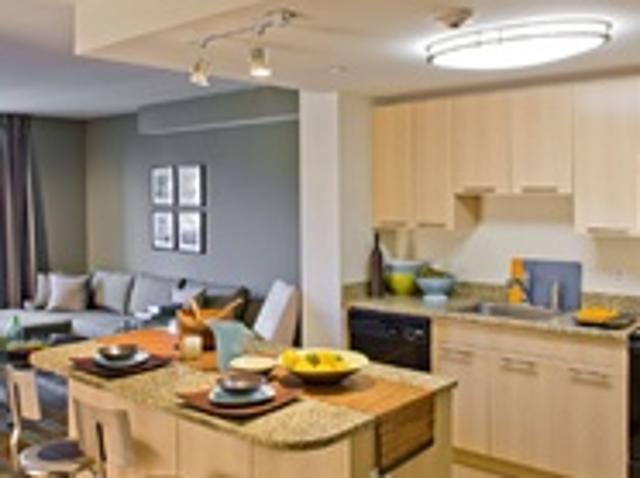 Apartment for rent in White Plains