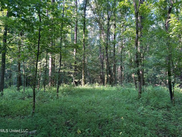 Land for sale in Crenshaw, Mississippi