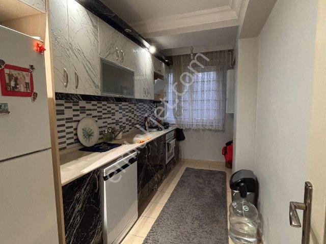 Avcilar, İstanbul içerisinde kiralık mülk