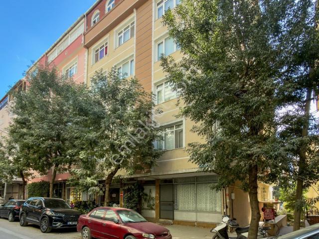 Avcilar, İstanbul içerisinde kiralık mülk