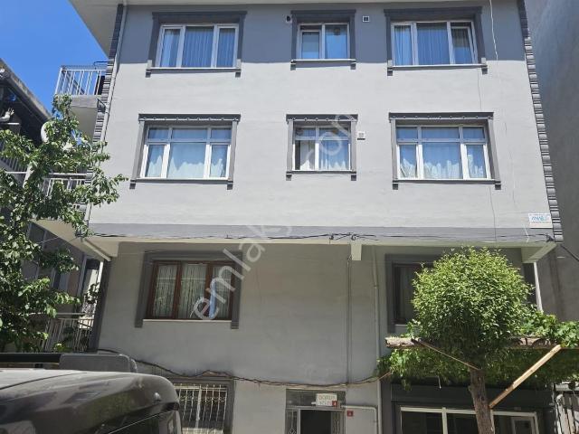 Avcilar, İstanbul içerisinde kiralık mülk