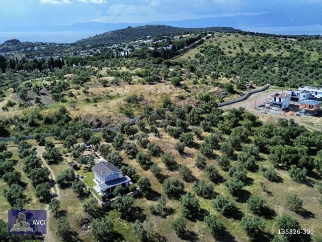 Gömeç içerisinde satılık Arsa