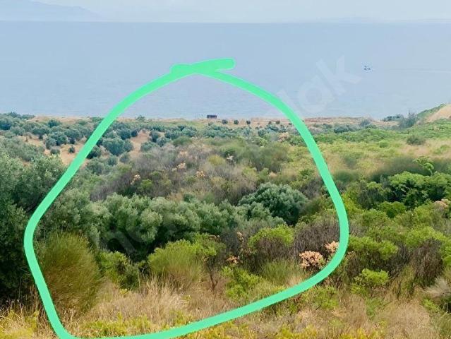 Şarköy, Tekirdağ içerisinde satılık Arsa