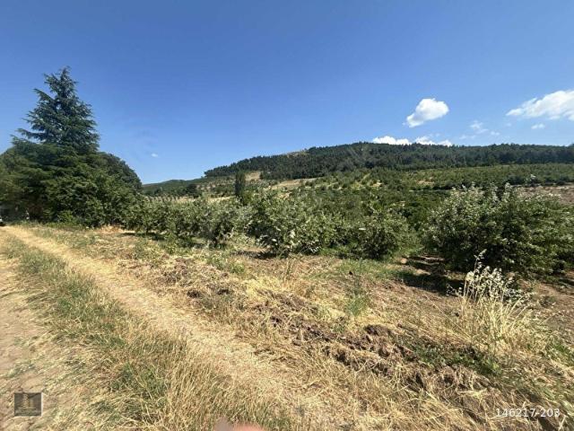 Osmangazi, Bursa içerisinde satılık mülk