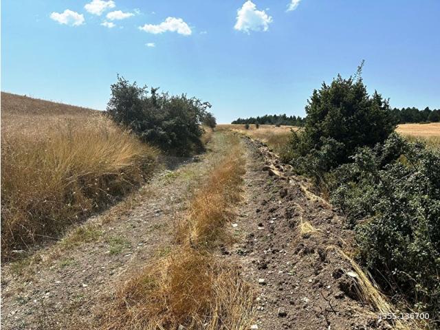 Yenigüney Köyü, Gediz içerisinde satılık Arsa