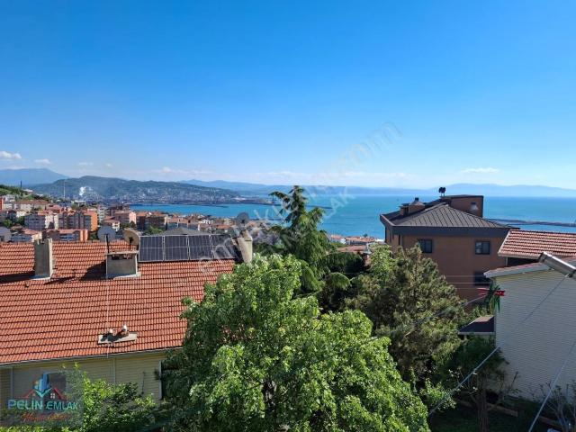 Ereğli, Zonguldak içerisinde satılık mülk
