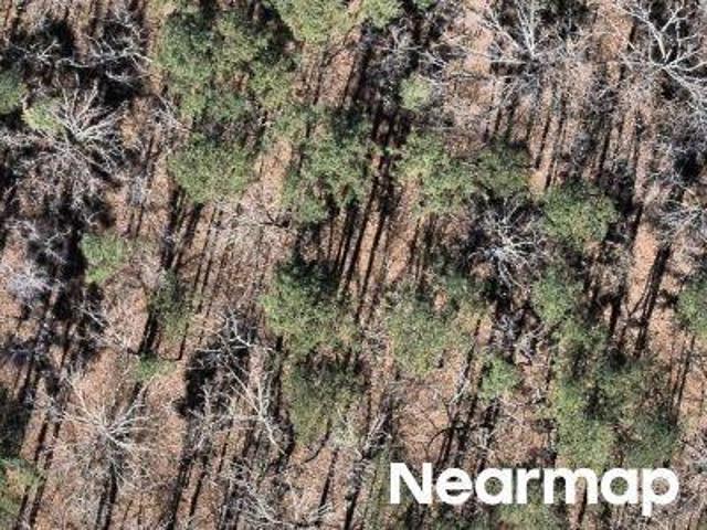 Land for sale in Ark