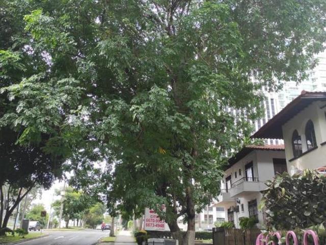 VENDO CASA HERMOSA AVE. FEDERICO BOYD PARA USO COMERCIAL