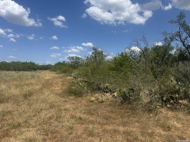 Land for sale in Christine, Texas