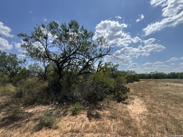 Land for sale in Christine, Atascosa County