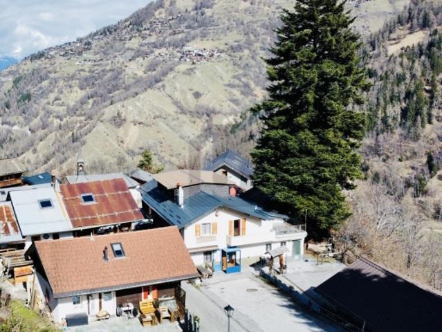 Gewerbe kaufen in Fey, Nendaz