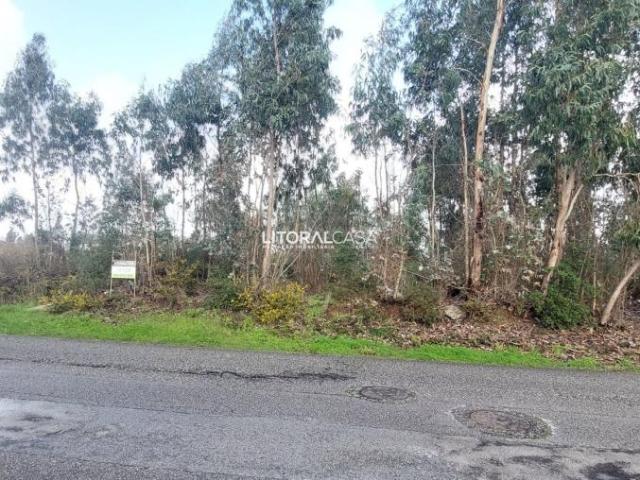 Terreno venda em Vale das Figueiras, Águeda