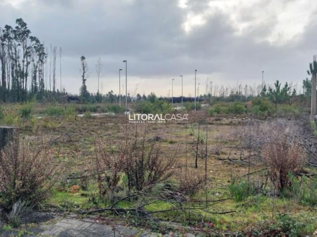 Terreno venda em Arrancada do Vouga, Águeda