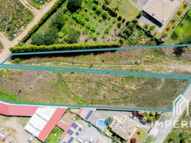 Terreno venda em Assilhó, Albergaria-a-velha