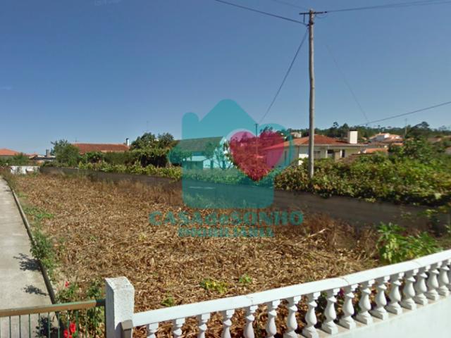 Terreno venda em Albergaria-a-velha, Aveiro