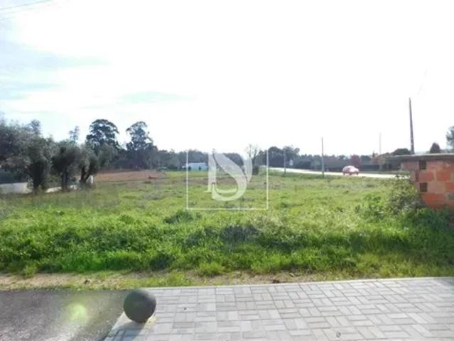 Terreno venda em Aveiro