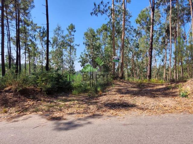 Terreno venda em Arouca, Fermedo