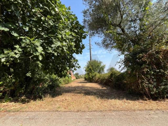 Terreno venda em Aveiro