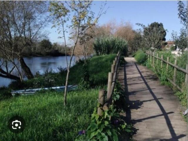 Terreno venda em Aveiro