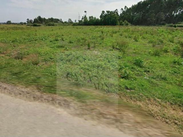 Terreno venda em Aveiro