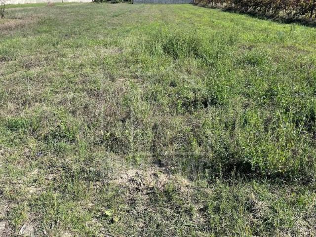 Terreno venda em Aveiro