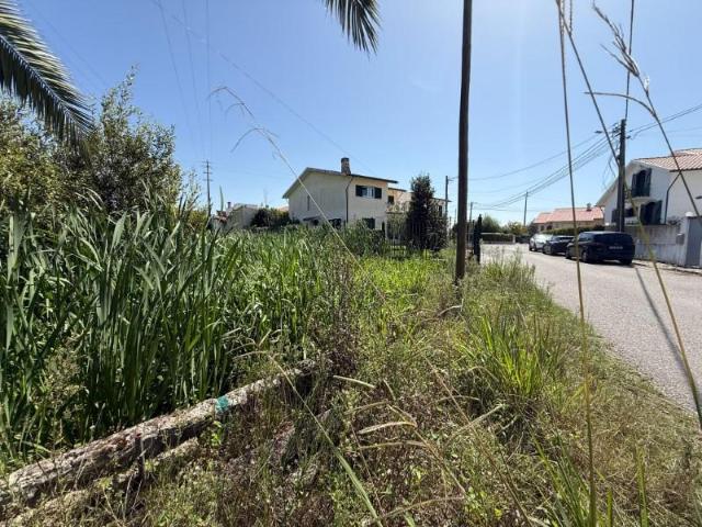 Terreno venda em Aveiro