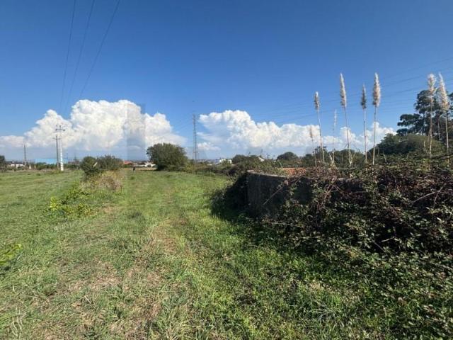 Terreno venda em Cacia, Aveiro