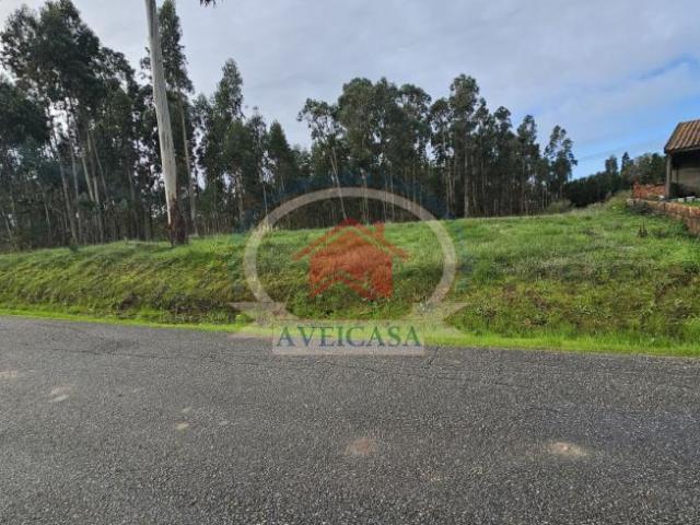 Terreno venda em Oliveirinha, Aveiro