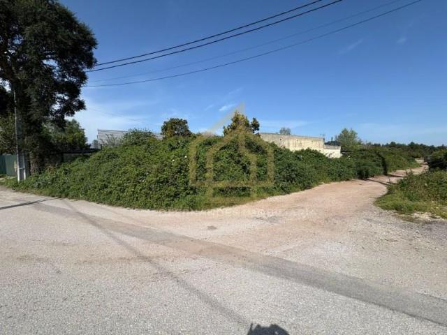 Terreno venda em Aveiro
