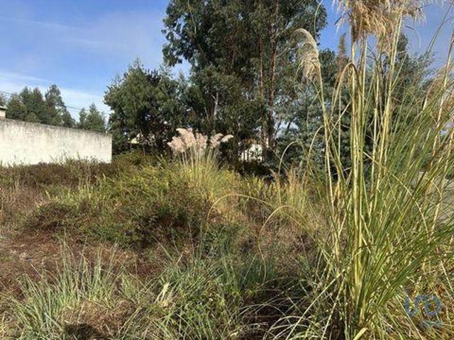 Terreno venda em Verba, Aveiro