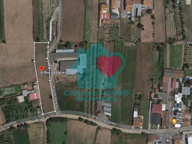 Terreno venda em Outeiro do Coval, Estarreja