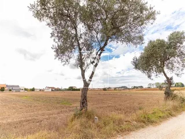 Terreno venda em Porto de Aveiro, Ílhavo