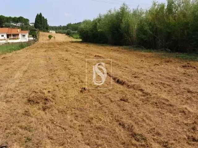 Terreno venda em Aveiro