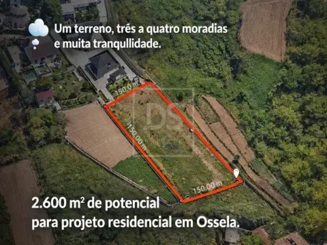 Terreno venda em Oliveira De Azeméis, Aveiro