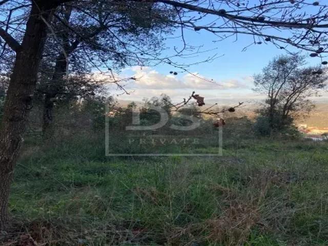 Terreno venda em Oliveira De Azeméis, Aveiro