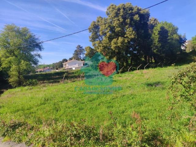 Terreno venda em Oliveira De Azeméis, Aveiro