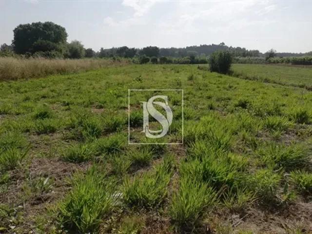 Terreno venda em Oliveira Do Bairro, Aveiro