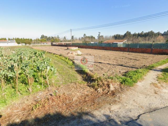 Terreno venda em Oliveira Do Bairro, Aveiro