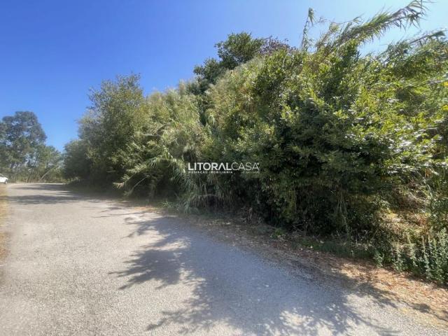 Terreno venda em Palhaça, Oliveira do Bairro
