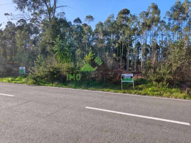 Terreno venda em Santa Maria Da Feira, Aveiro