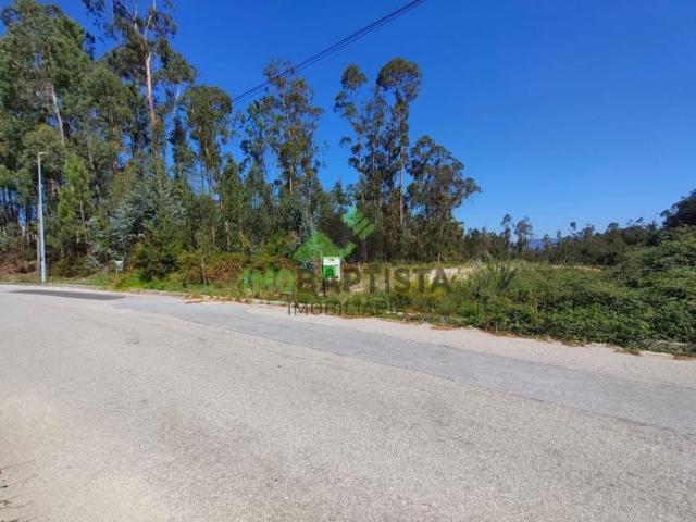 Terreno venda em Gião, Santa Maria Da Feira