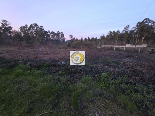 Terreno venda em Santa Maria Da Feira, Aveiro