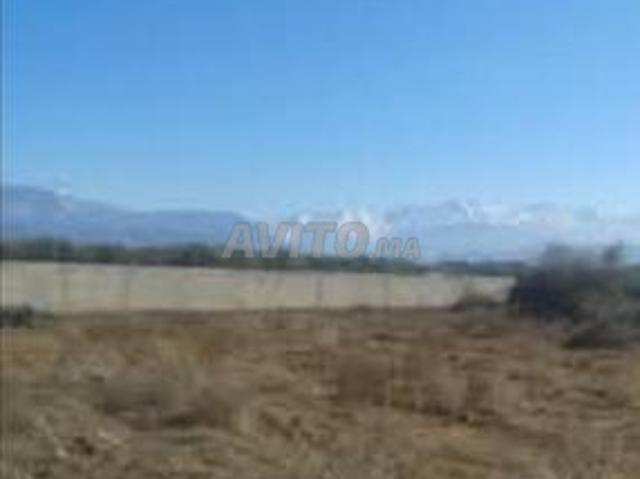 Propriété vente à Préfecture de Marrakech عمالة مراكش, Marrakech-Safi ⵎⵕⵕⴰⴽⵛ-ⴰⵙⴼⵉ مراكش-أسفي